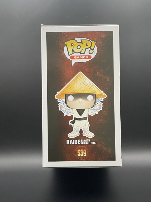 Raiden with lightning - Image 4
