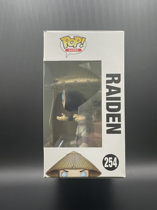 Raiden - Image 2
