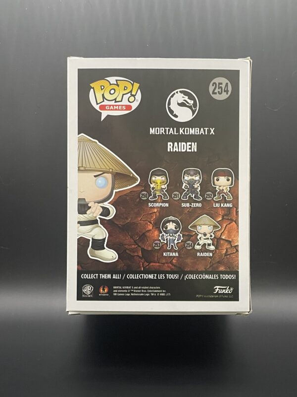 Raiden - Image 3