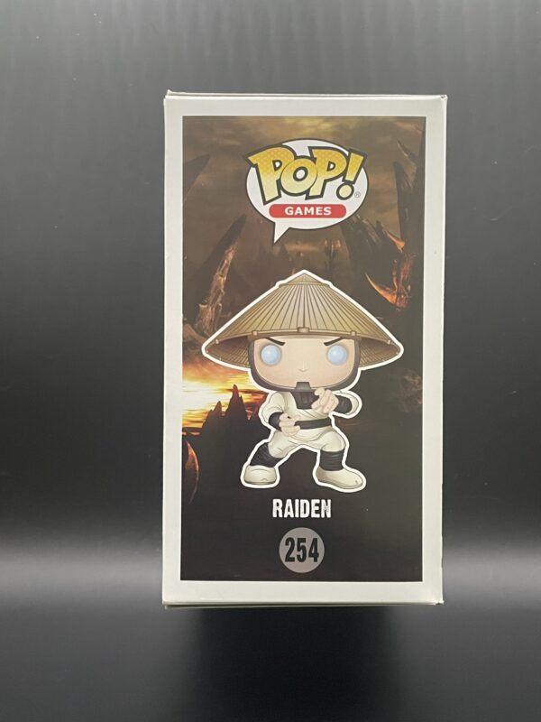 Raiden - Image 4