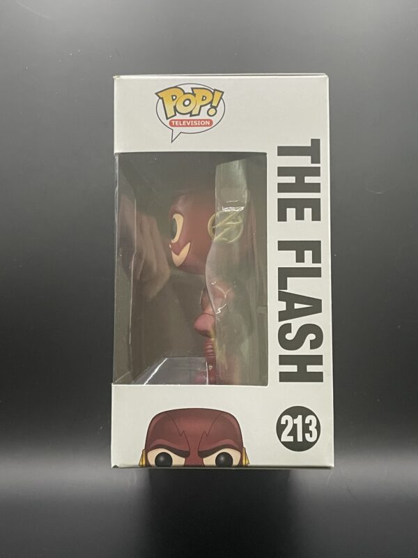 The Flash - Image 2