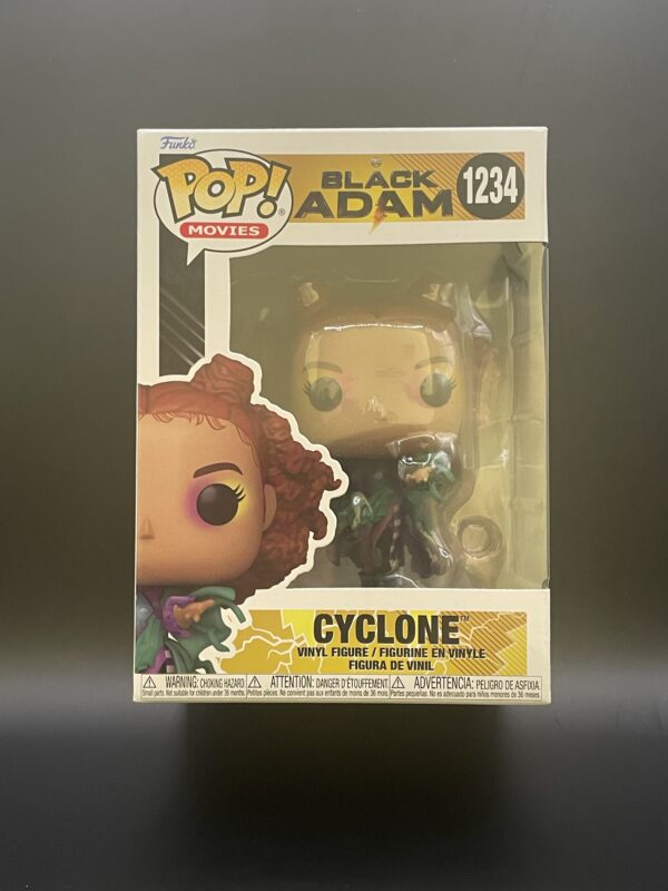 Cyclone