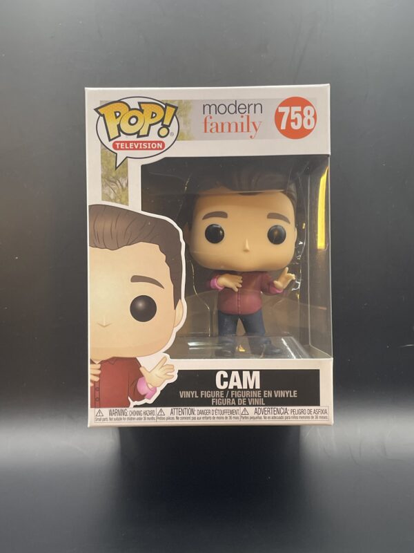 Cam