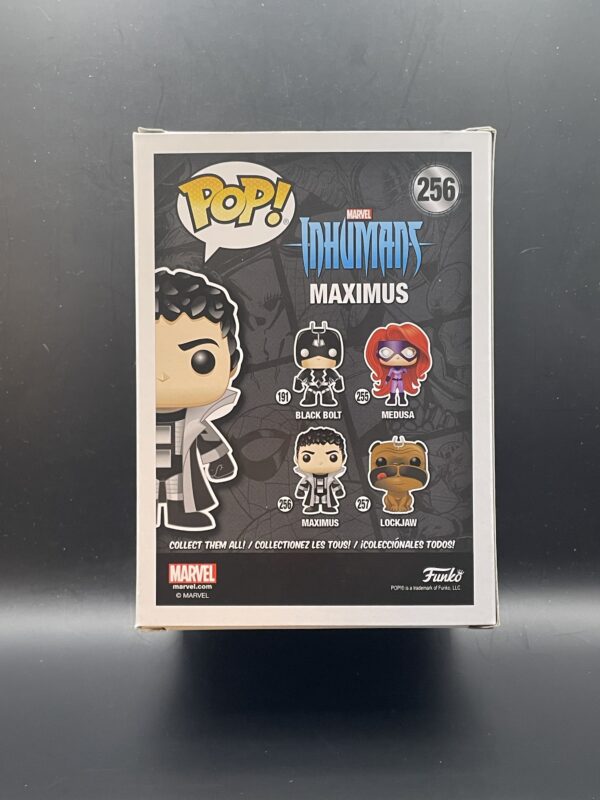 Maximus - Image 3