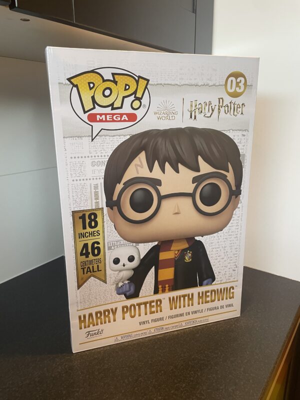 Harry Potter With Hedwig (18 Inch)