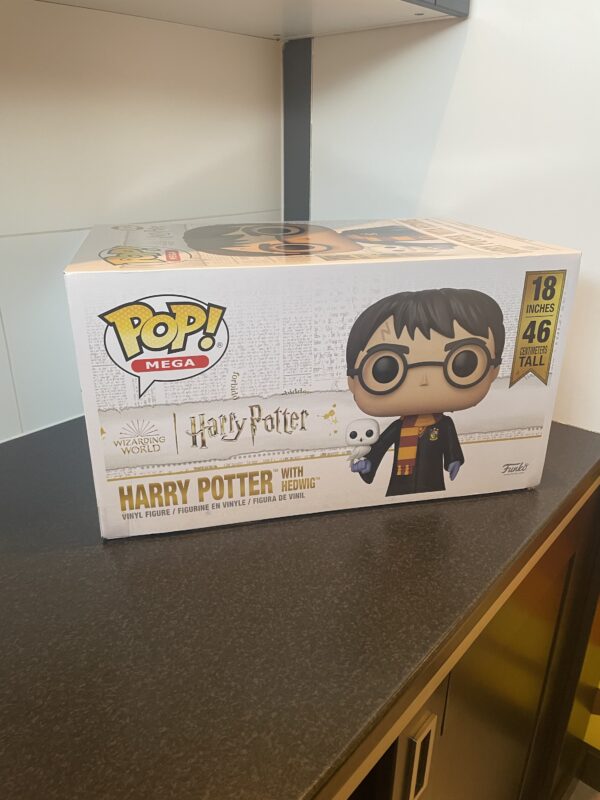 Harry Potter With Hedwig (18 Inch) - Image 2