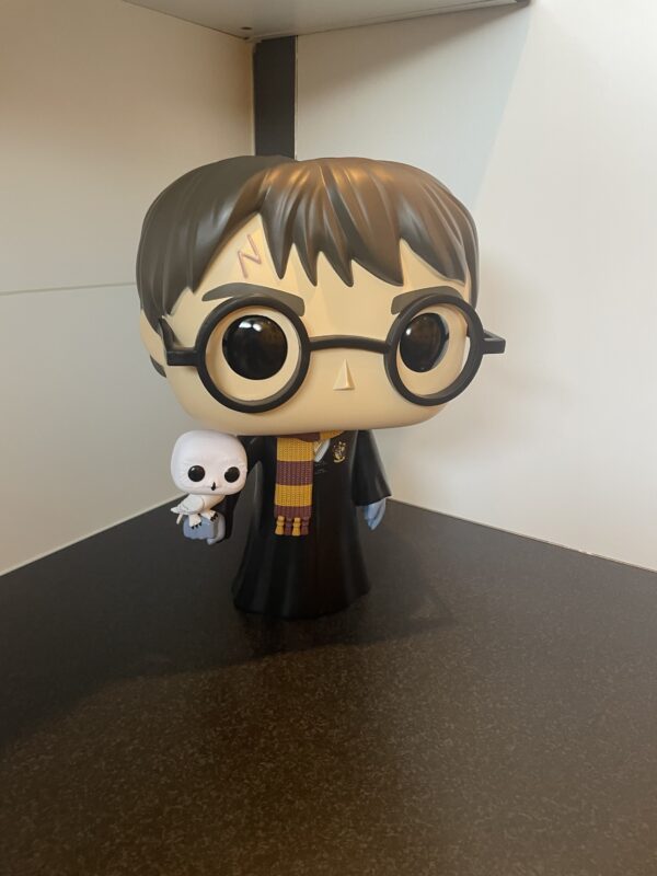 Harry Potter With Hedwig (18 Inch) - Image 3