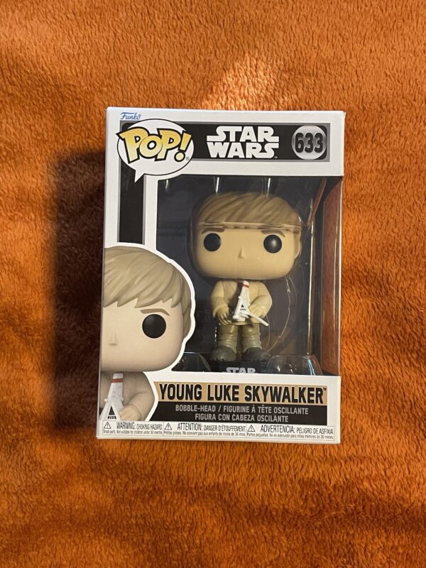 Young Luke Skywalker